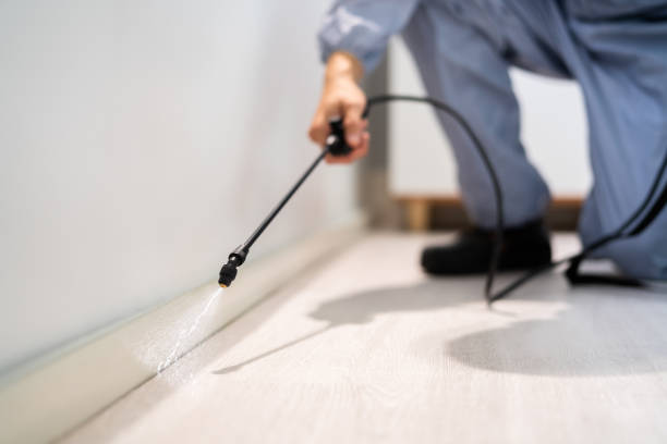 Bed Bug Pre-Treatment Preparation Assessment in Union Springs