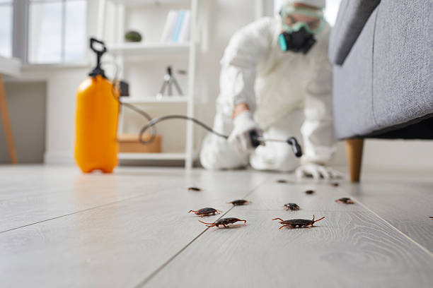 Post-Treatment Bed Bug Interceptor Monitoring in Union Springs