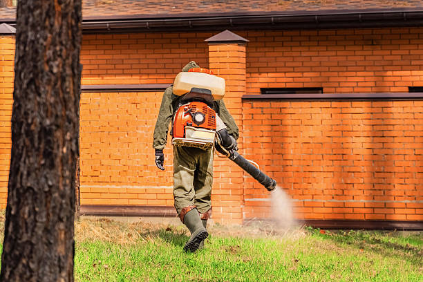 Bed Bug Clearance Verification and Documentation in Union Springs